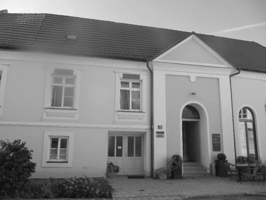 schredl_kino_horn